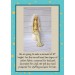 PDF Pattern & Tutorial Mermaid 18 Inches
