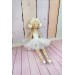 ballerina Doll,Textile doll, decorative doll,collectible dolls , doll cotton, rag doll